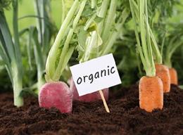 Сельхозтоваропроизводителей обучили теории органического земледелия 