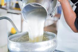 Россия на треть снизила зависимость от импорта молока за последние 6 лет