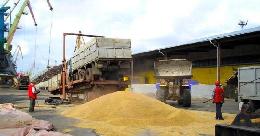 Свыше 466 тыс. тонн зерна согласовано к вывозу по льготному железнодорожному тарифу