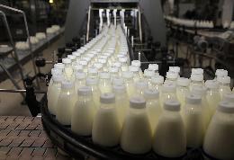 Производители молока будут наращивать объемы продукции