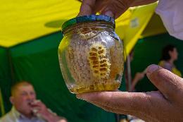 15 августа в Томской области пройдет расширенная торговля медом