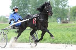 Открытое первенство по конному спорту в Зырянском районе прошло на обновленном ипподроме 