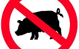 Запрет на ввоз свинины из Евросоюза из-за АЧС отменят