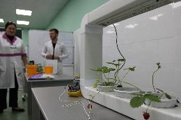 В Томском аграрном колледже открыли новые учебные мастерские
