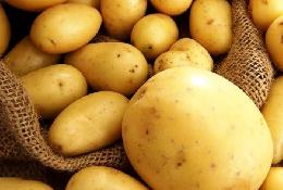 Предприятие из Ярославской области вложит 200 млн рублей в выращивание картофеля в Крыму