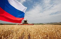 РФ к 18 июля увеличила экспорт продукции АПК на 16,8%, до $15,9 млрд