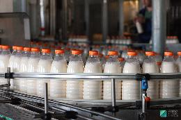 В Тюменской области снизился рост цен на сыры и творог благодаря местным производителям молока