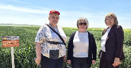 На Дне поля в ООО ОПХ «Луч» обсудили перспективы селекции зерновых и зернобобовых культур На Дне поля в ООО ОПХ «Луч» обсудили перспективы селекции зерновых и зернобобовых культур
