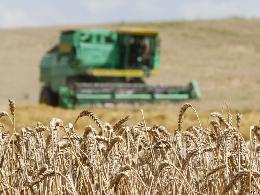 Минсельхоз России: в стране собрано 108 млн тонн зерна 