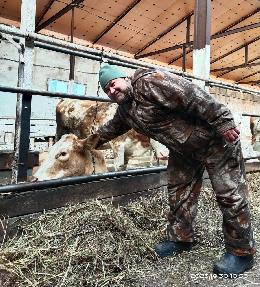 35 нетелей симментальской породы из Республики Башкортостан прибыли  в хозяйство Первомайского района 