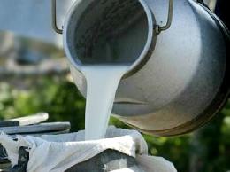 Минсельхоз России констатирует увеличение объемов производства молока на 3,3%