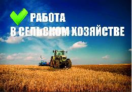 Едем на село: передовым хозяйствам Томской области требуются рабочие и специалисты