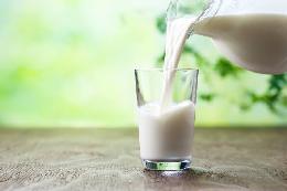 Минсельхоз РФ планирует поддерживать молочную отрасль до выхода на самообеспеченность 
