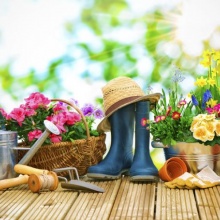 В субботу в Томске пройдет областная специализированная ярмарка «Весна 2018. Все для сада-огорода»
