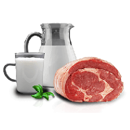В регионе увеличилось производство мяса и молока