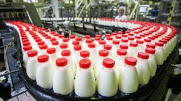 Объём реализации молока в сельхозорганизациях вырос на 3,4%