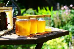 Сезон свежего меда — польза продукции пчеловодства