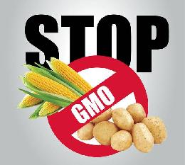Eврокомиссия уточняет новые правила импорта ГМО