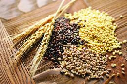 Россельхознадзор: зерно и рапс томских производителей востребованы в Литве, Венгрии, Монголии, Китае