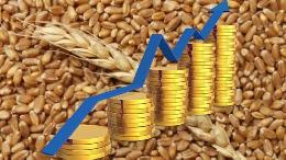 Союз экспортеров прокомментировал увеличение пошлин на зерно