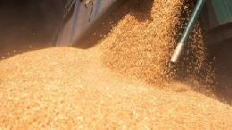 Минсельхоз РФ установил дополнительную квоту на экспорт зерна в 2023 году