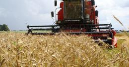 Минсельхоз России: кредитование сезонных полевых работ выросло на 22%