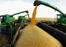 Минсельхоз России: на 16 мая экспорт зерновых достиг 46,6 млн тонн