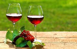 Правительство разделило полномочия Минсельхоза и РАР в сфере виноделия.