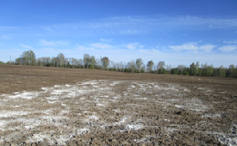 Специалисты агрохимслужбы оценят эффективность применения минеральных удобрений на томских полях