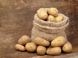 Производство картофеля может увеличиться