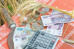 К льготному кредитованию аграриев могут привлечь банки с капиталом менее 10 млрд рублей.
