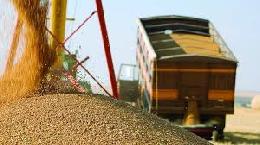 Хозяйства Томской области намолотили более 400 тысяч тонн зерна