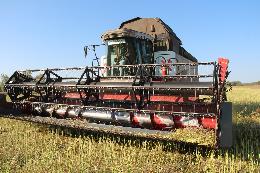 Томские аграрии выполнили план уборки зерновых почти на 74 процента