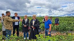 Эксперты компании «Северный сад» рассказали об опыте выращивания плодово-ягодных культур под механизированную уборку