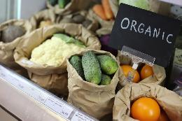 Эксперт перечислила требования, предъявляемые к органическому сельхозпроизводству