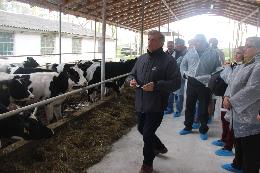 Аграрии Томской области прошли курсы повышения квалификации по программе «Инновационные технологии в молочном скотоводстве» в Беларуси
