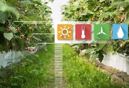 В правительство внесен проект «Цифровое сельское хозяйство»