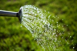 Нужно ли поливать в теплице грядки и дорожки после уборки урожая?