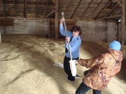 Хранение зерна в зимнее время: Россельхознадзор напоминает о требованиях к оснащению зерноскладов и хранилищ