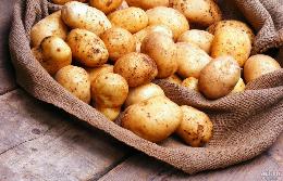 В Челябинской области создают картофельный агроагрегатор для фермеров