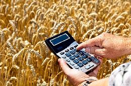 Дума приняла во II чтении законопроект о патентной системе налогов в сельском хозяйстве 