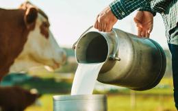 Производство молока в России в январе - октябре выросло на 3,1%l