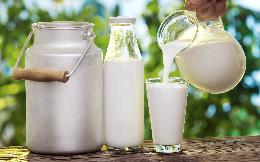 В России замедлился рост цен на молоко 