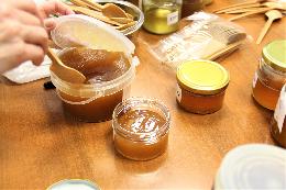 Томским пчеловодам расскажут о правилах определения качества мёда