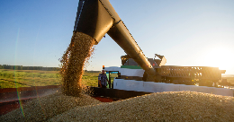 РФ с 27 марта возобновляет закупки зерна в госфонд