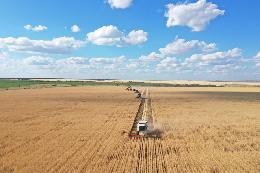 В Крыму намолотили свыше миллиона тонн зерновых