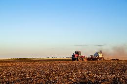 Минсельхоз России: на 15 ноября собрано 115,3 млн тонн зерна