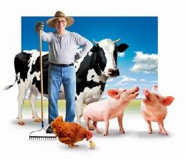 На гранты в конкурсах «Начинающий фермер» и «Семейная животноводческая ферма» претендуют 54 хозяйства