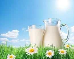 Минсельхоз: на 23 сентября средневзвешенная цена на молоко сырое составила 22,06 руб./кг