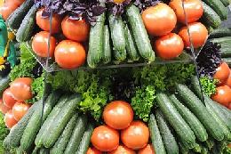 С начала года производство тепличных овощей увеличилось на треть